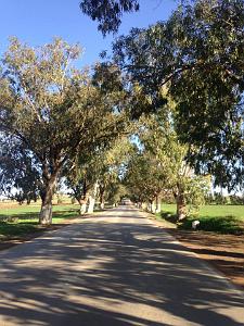 HAMMAM BOU HADJAR  (3) LA SOURCE DES EAUX THERMALES
